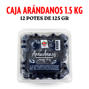 Caja Arándanos 1.5kg