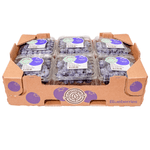 caja_1.5kg arandanos_2.png