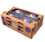 caja_4kg_arandanos_2.png