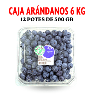 Caja 6kg arandanos