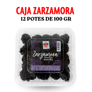 Caja zarzamora 1.2kg